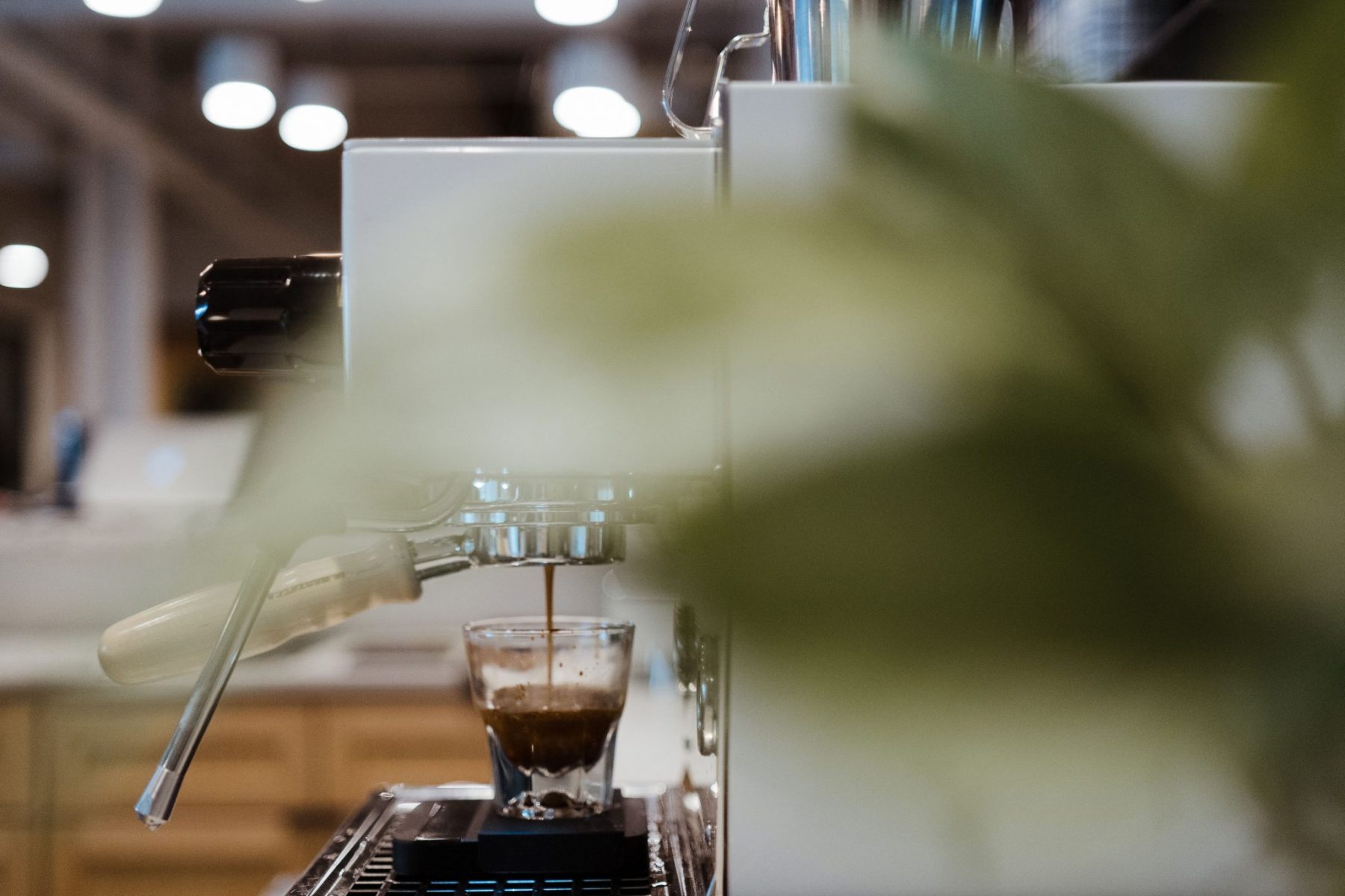 Fiction Coffee espresso bar in-house