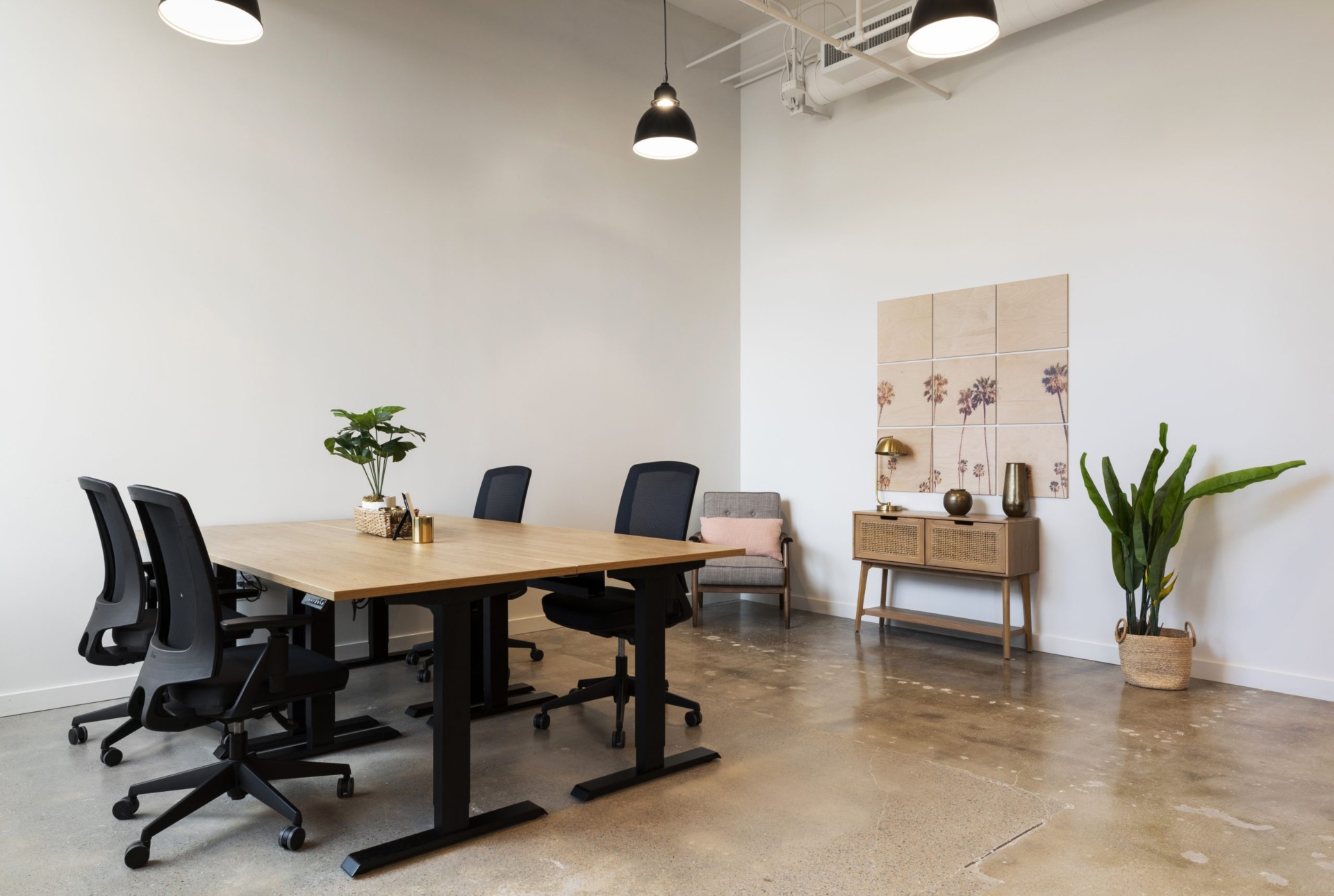 Ion Suite 1 Office Suites Houston Common Desk