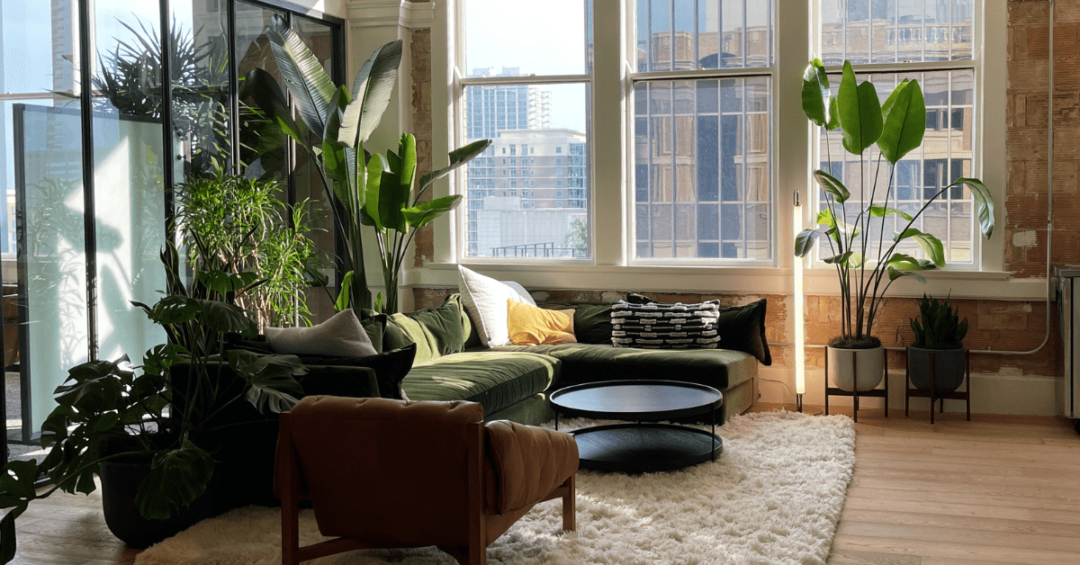 How to Make Your Office Feel More Like Home Common Desk